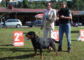 Família Mendara